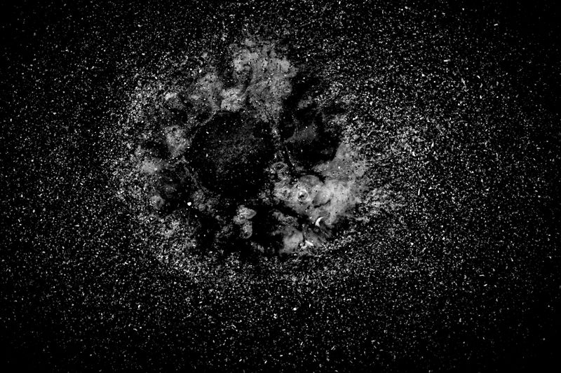 © Pardo Iannini - Image from the Jurema photography project