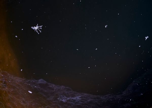 © Pardo Iannini - Image from the Jurema photography project