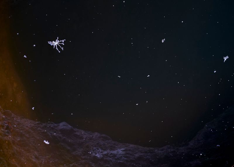 © Pardo Iannini - Image from the Jurema photography project