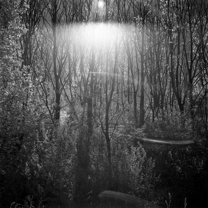 © Pardo Iannini - Image from the Jurema photography project