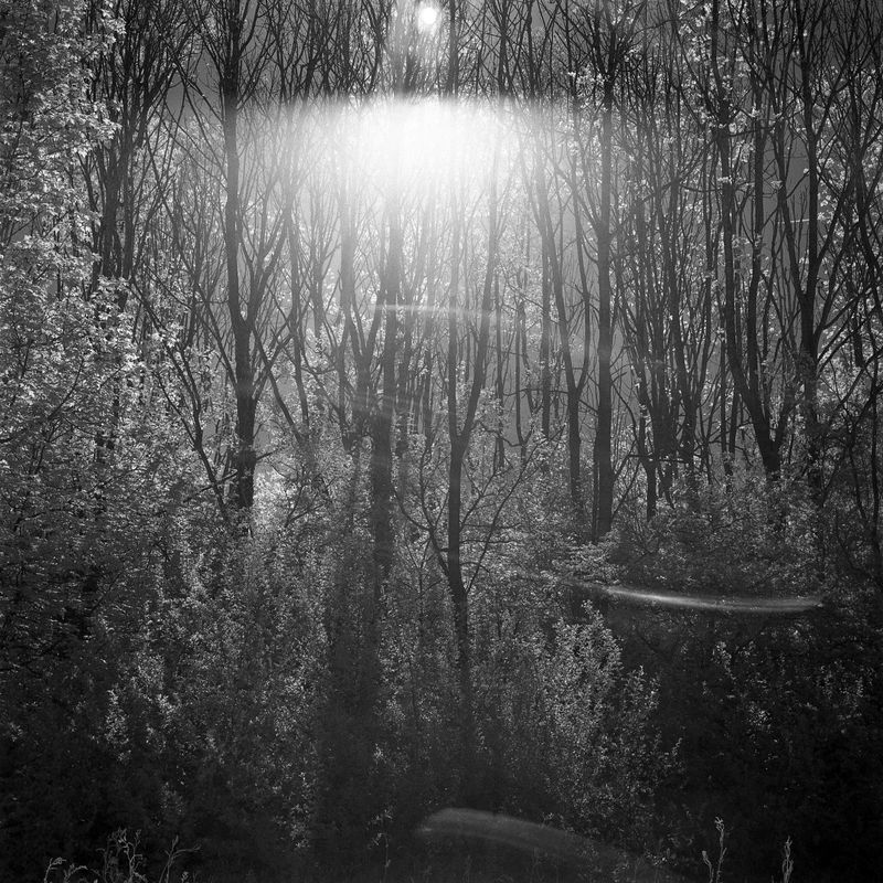 © Pardo Iannini - Image from the Jurema photography project