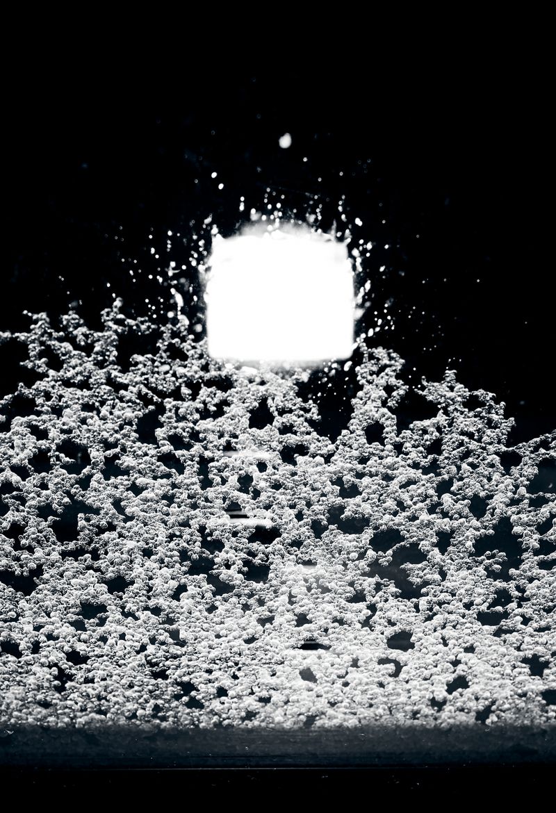 © Pardo Iannini - Image from the Jurema photography project