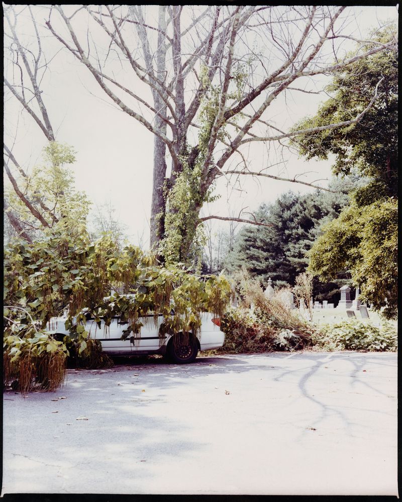 © Conor Henry McNamara - Image from the Agathokakological photography project