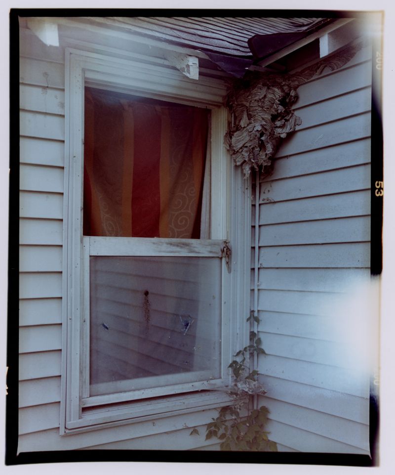 © Conor Henry McNamara - Image from the Agathokakological photography project