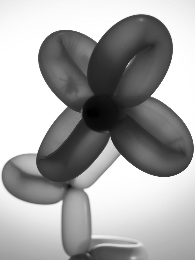 © Rory Hamovit - Pollinator, 2021, Gelatin Silver Print from Digital Negative