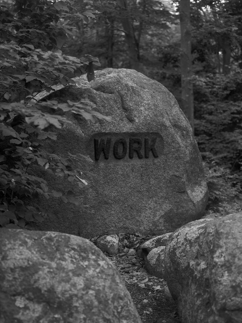 © Rory Hamovit - Work, 2022, Gelatin Silver Print from Digital Negative