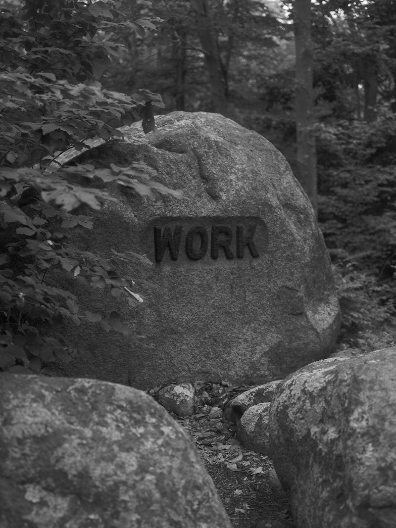 © Rory Hamovit - Work, 2022, Gelatin Silver Print from Digital Negative