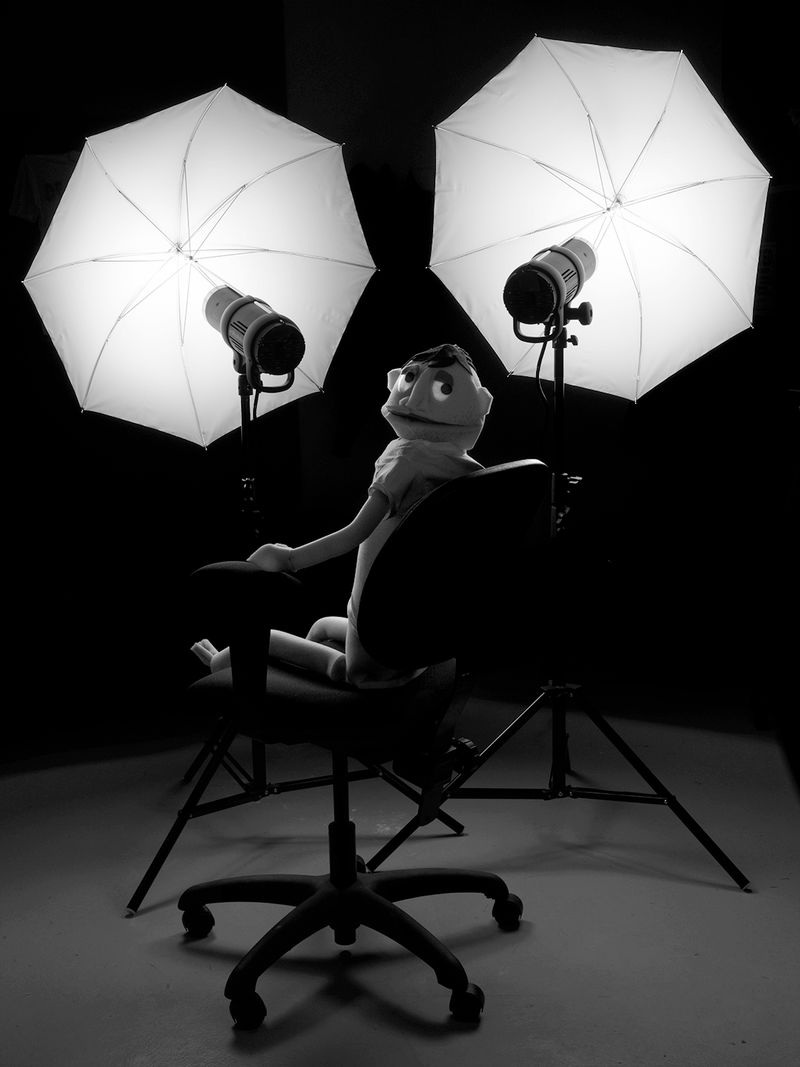 © Rory Hamovit - In Light, 2019, Gelatin Silver Print from Digital Negative