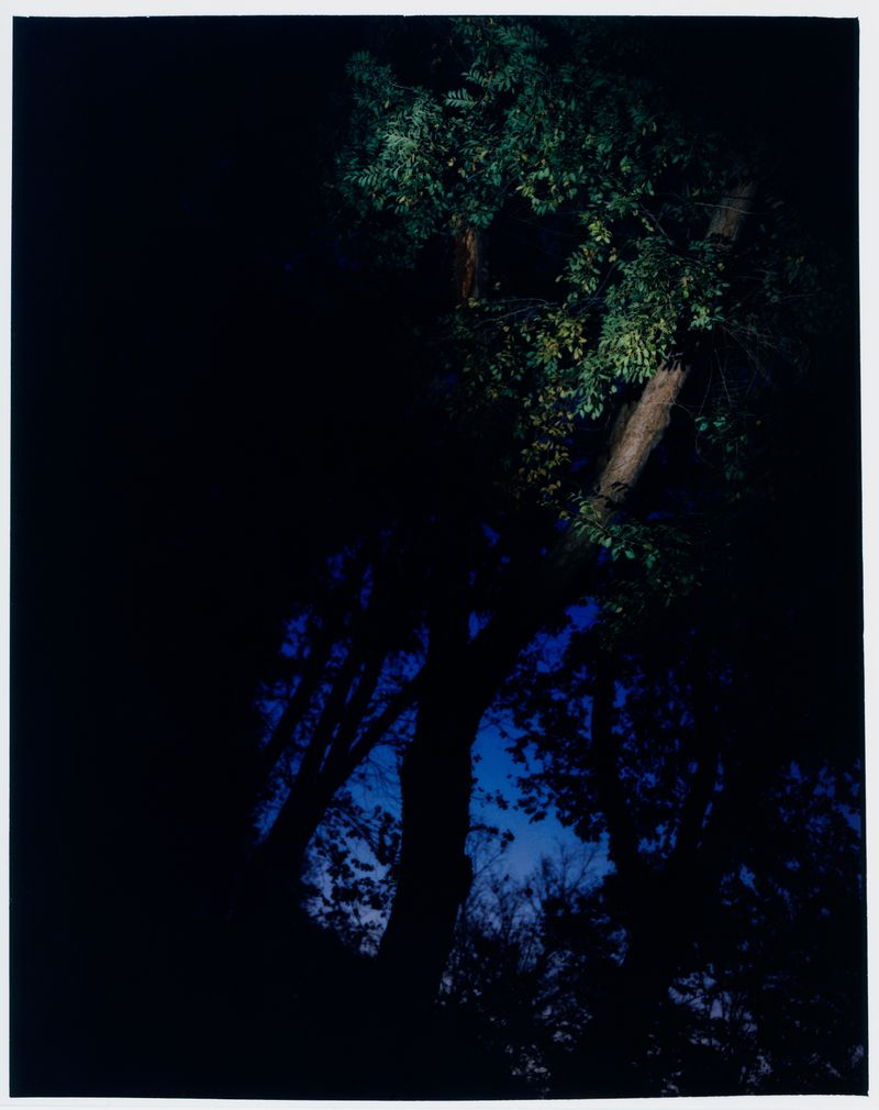 © Jara García - 15_Nature nº2.
