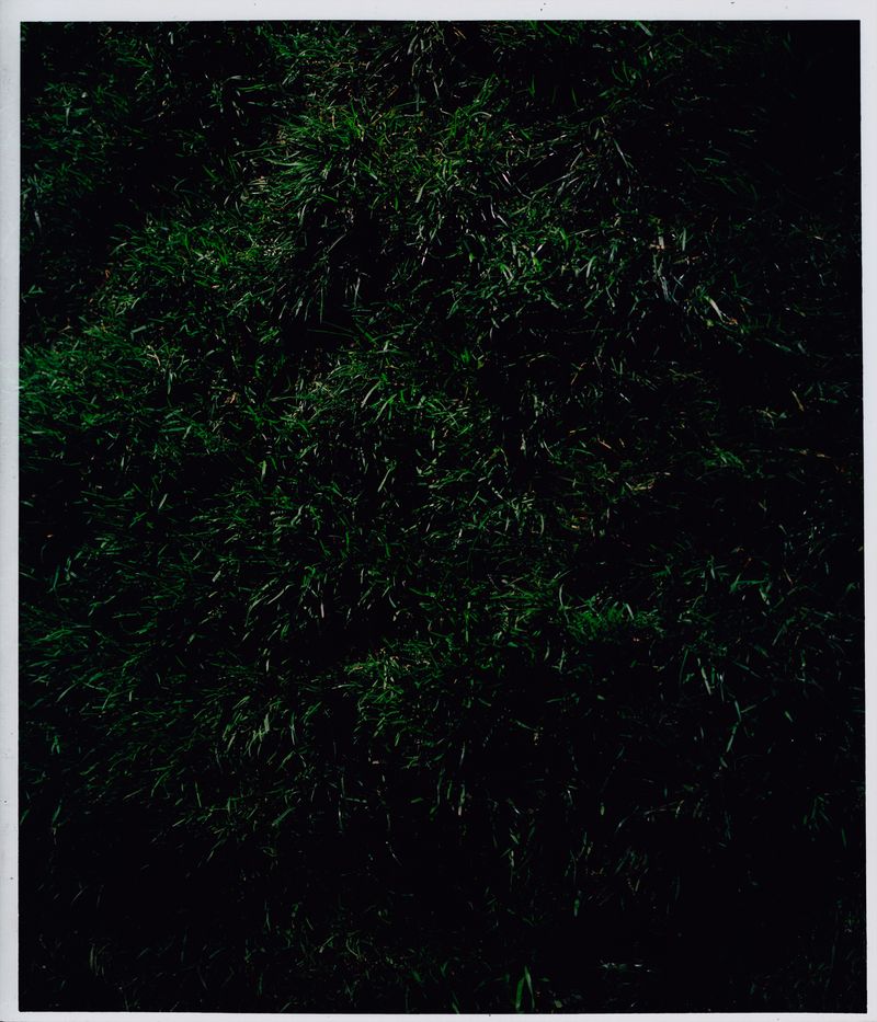 © Jara García - 15_Nature nº2