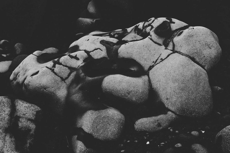 © Giorgia Valli - The flesh of Nature