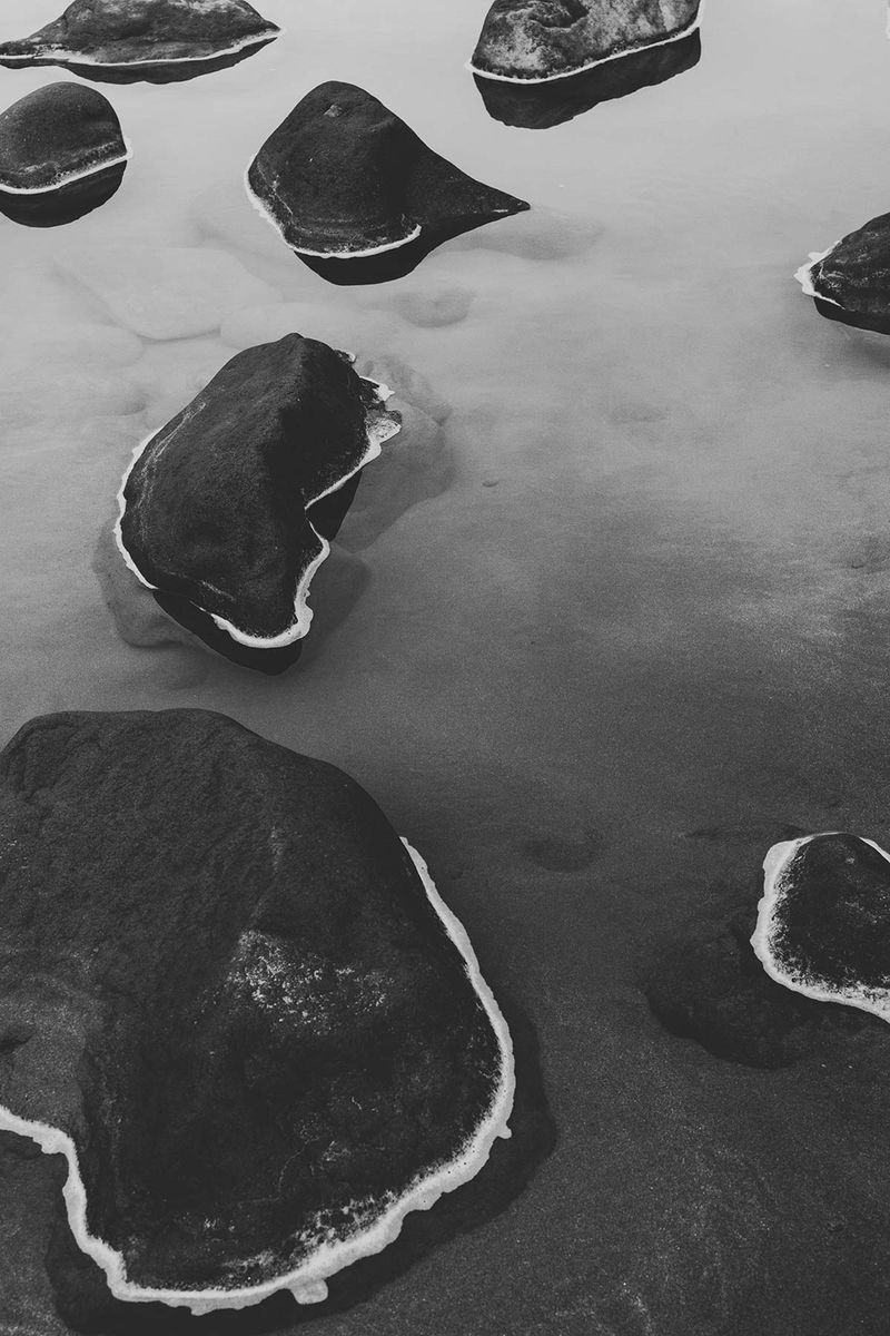 © Giorgia Valli - Macrocosmo