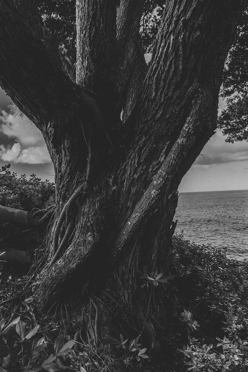 © Giorgia Valli - Twisting of feelings
