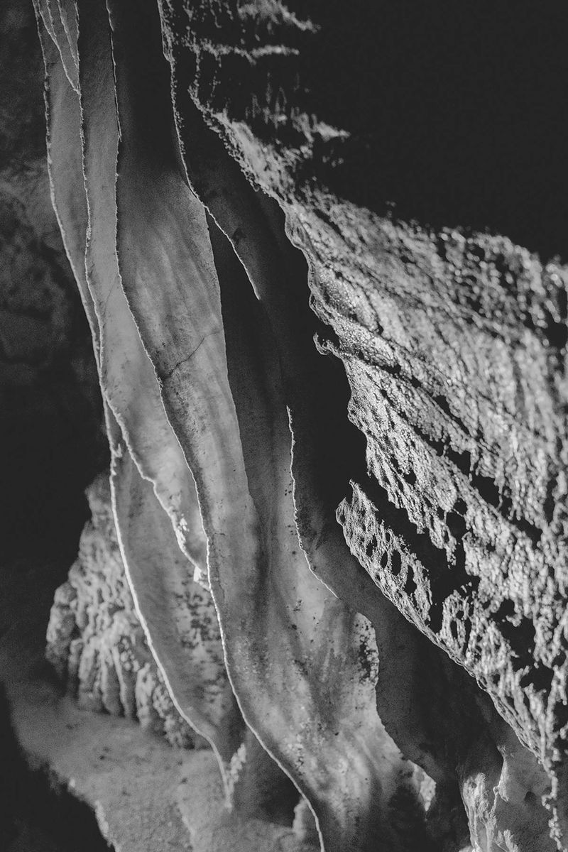 © Giorgia Valli - Primordial Eden