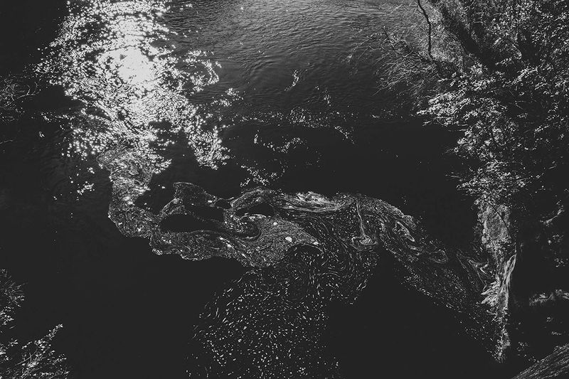 © Giorgia Valli - The intuitive waters of the West