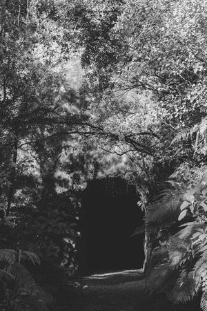 Trust in the Unknown (The Language of Nature)