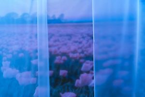 Kesendirianku Membiru, Tragis.