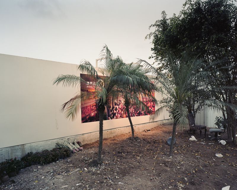 © Adam Lampton - Palm Tree and Poster, Macao (Img#: 14) (Size: 28x30") Archival Inkjet Print (2015/18)