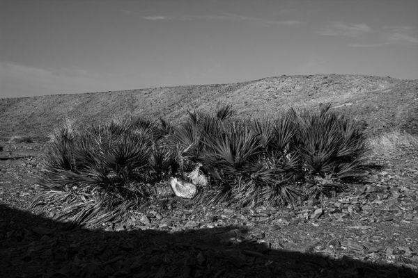 © Zobair Movahhed - Smugglers hide food and supplies in brush along the side of the road.