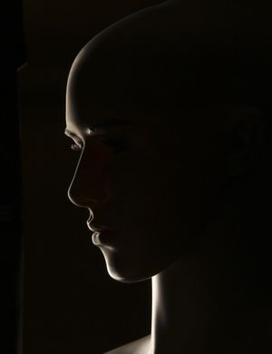 Light studies
