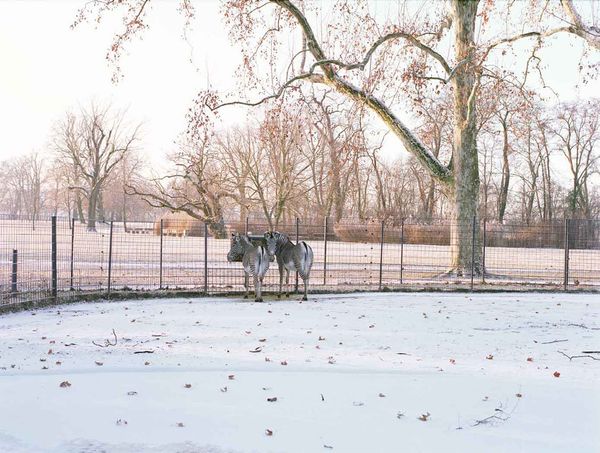 © Ignacio Evangelista - Image from the Natural Selection photography project