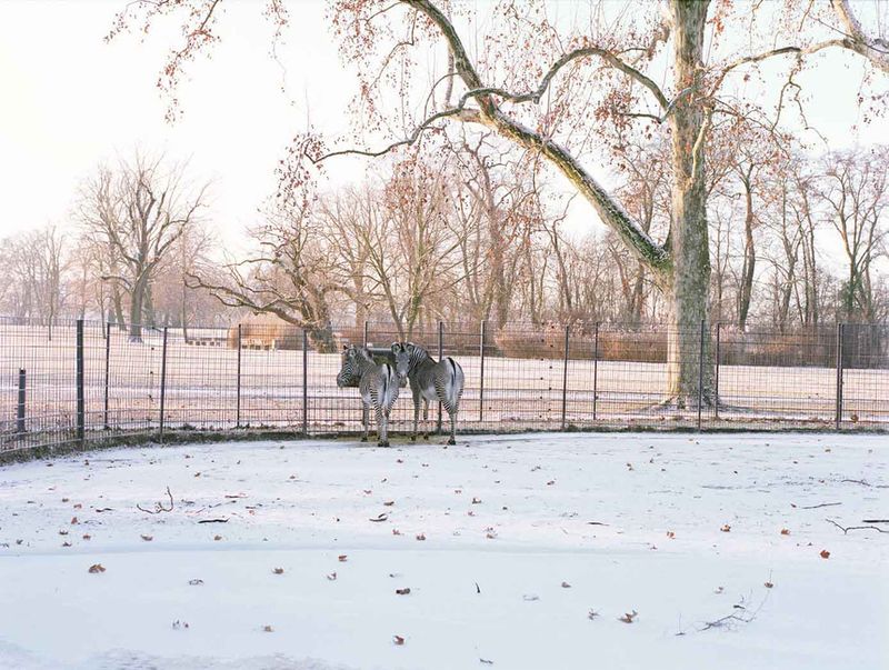 © Ignacio Evangelista - Image from the Natural Selection photography project