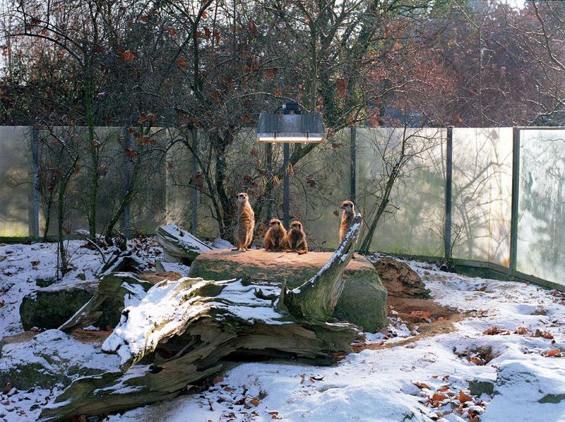 © Ignacio Evangelista - Image from the Natural Selection photography project
