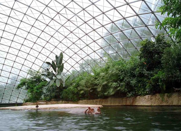 © Ignacio Evangelista - Image from the Natural Selection photography project