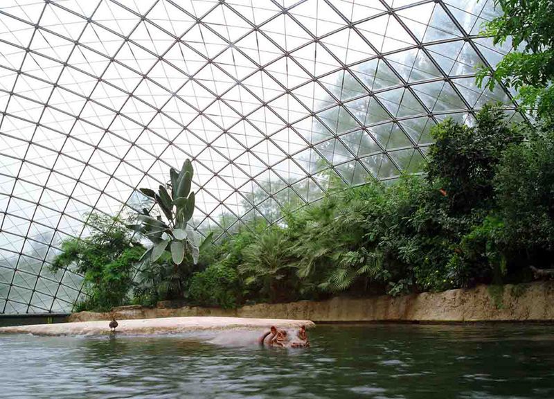 © Ignacio Evangelista - Image from the Natural Selection photography project