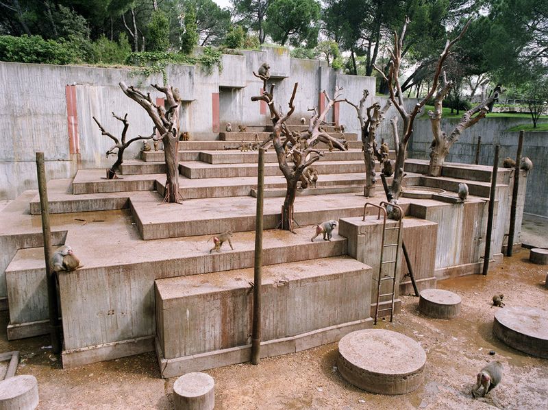 © Ignacio Evangelista - Image from the Natural Selection photography project