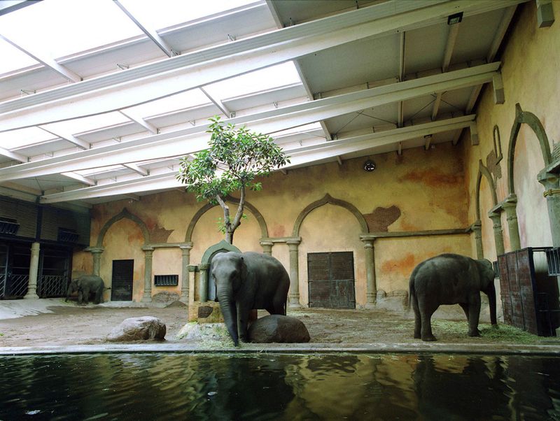 © Ignacio Evangelista - Image from the Natural Selection photography project