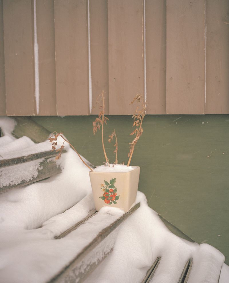 © Lukas Kreibig - Image from the Heart of a Seal photography project