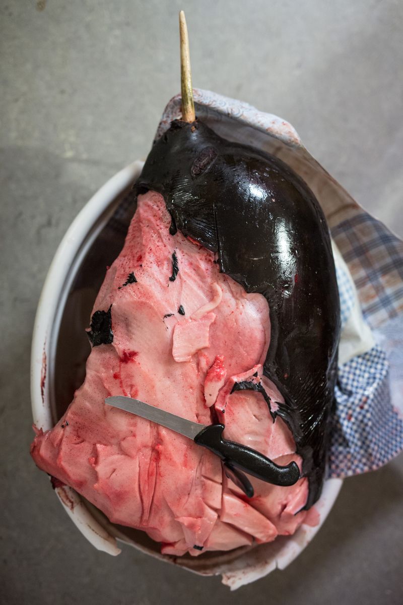 © Lukas Kreibig - Image from the Heart of a Seal photography project