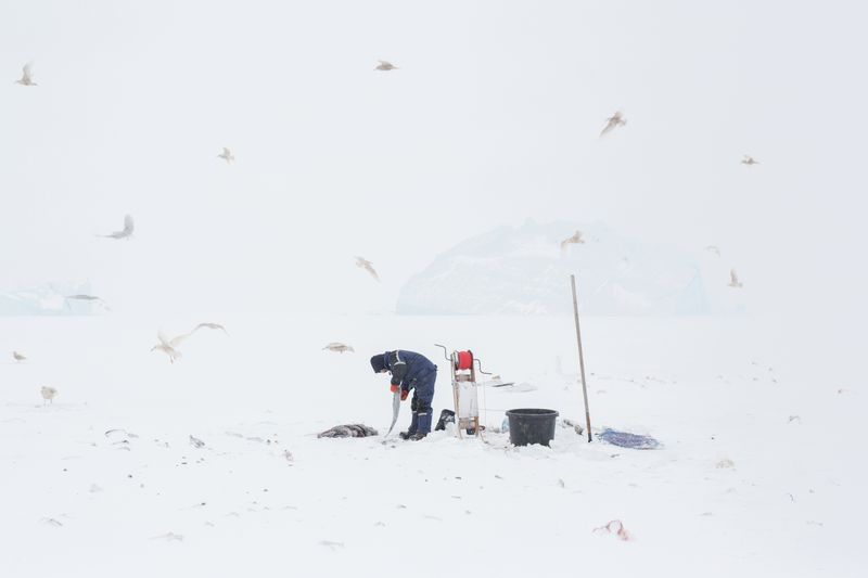 © Lukas Kreibig - Image from the Heart of a Seal photography project