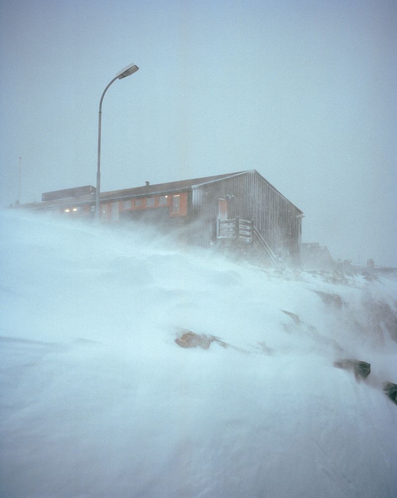 © Lukas Kreibig - Image from the Heart of a Seal photography project