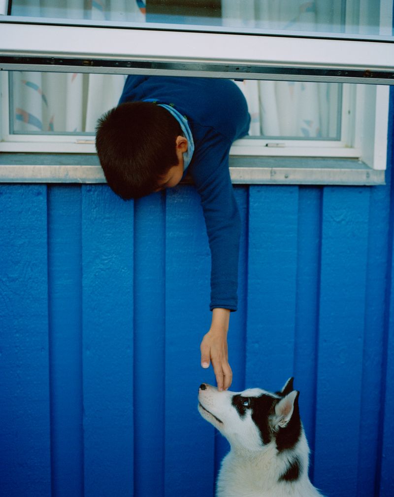 © Lukas Kreibig - Image from the Heart of a Seal photography project