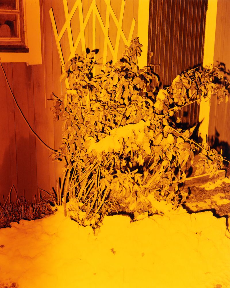 © Erik Gustafsson - Image from the Too Much To Unlearn photography project