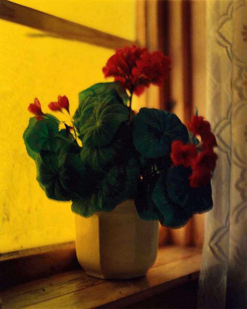 © Erik Gustafsson - Image from the Too Much To Unlearn photography project