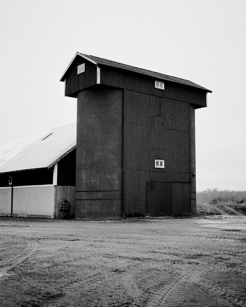 © Erik Gustafsson - Image from the Too Much To Unlearn photography project