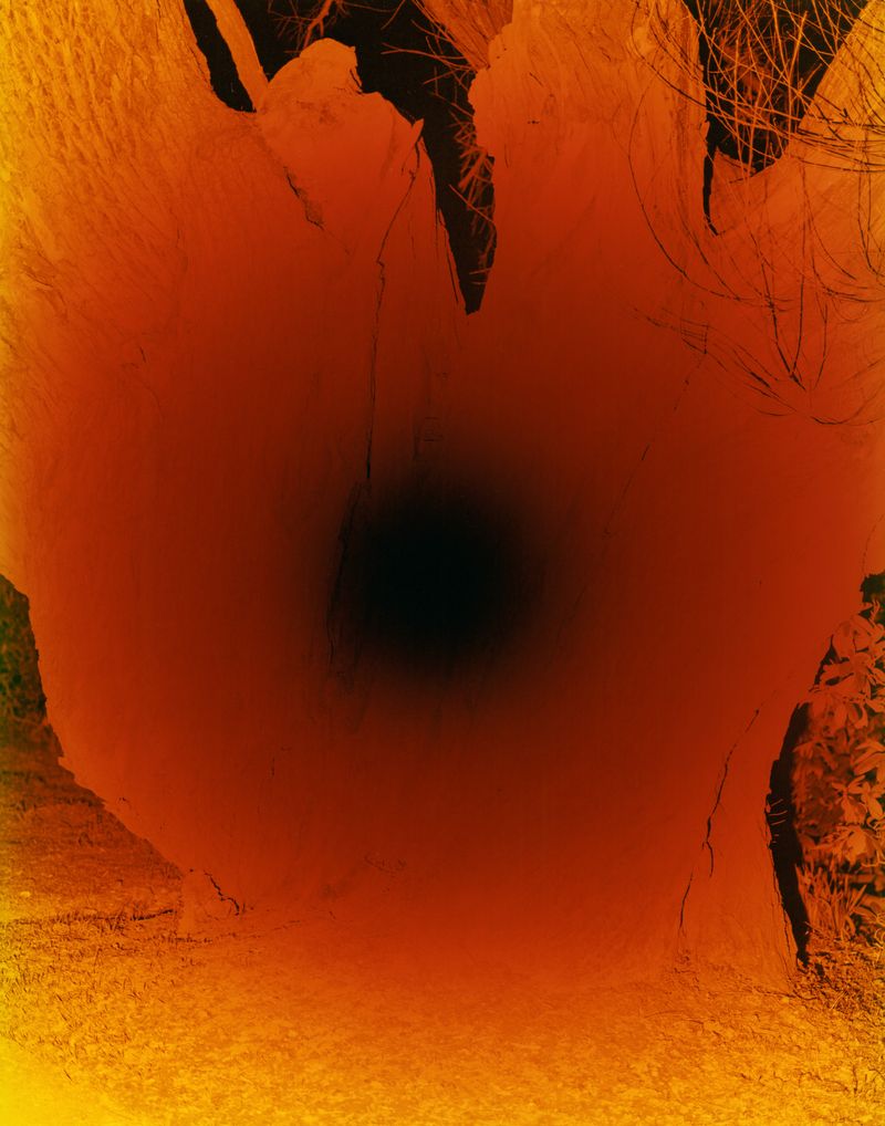 © Erik Gustafsson - Image from the This is Farewell photography project