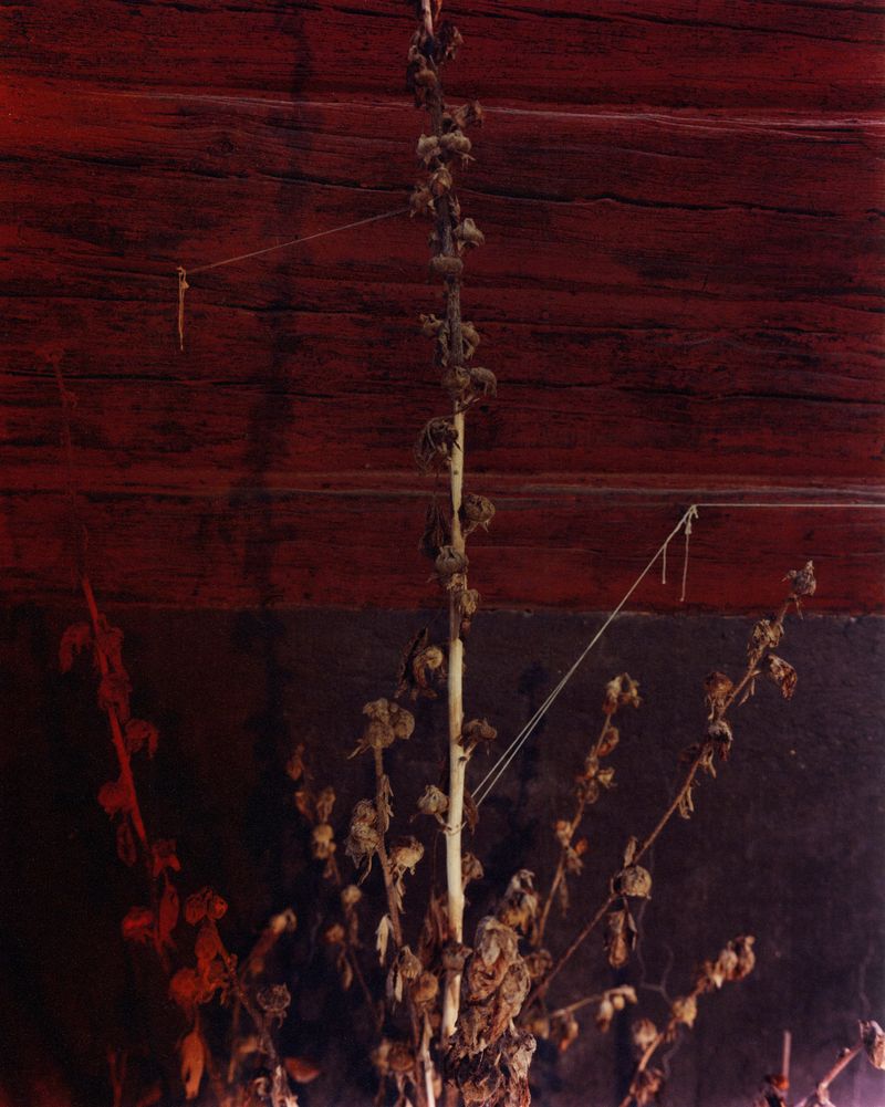 © Erik Gustafsson - Image from the This is Farewell photography project