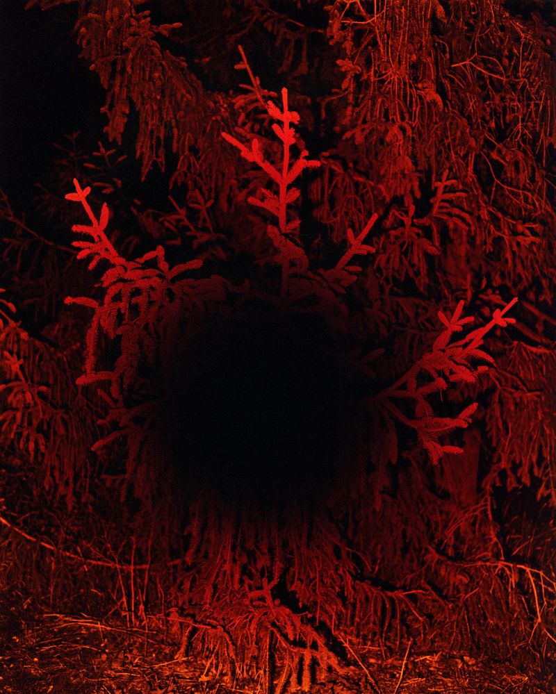 © Erik Gustafsson - Image from the This is Farewell photography project