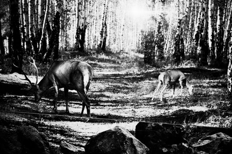 © Erik Gustafsson - Image from the This is Farewell photography project