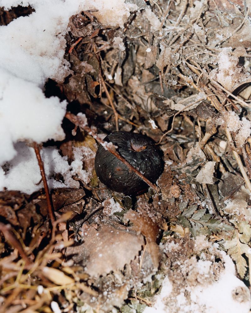 © Erik Gustafsson - Image from the This is Farewell photography project