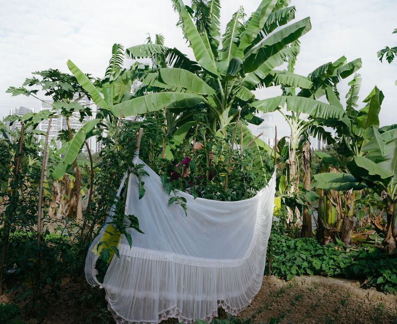 © Jingru Wang - Image from the Southern Sands photography project