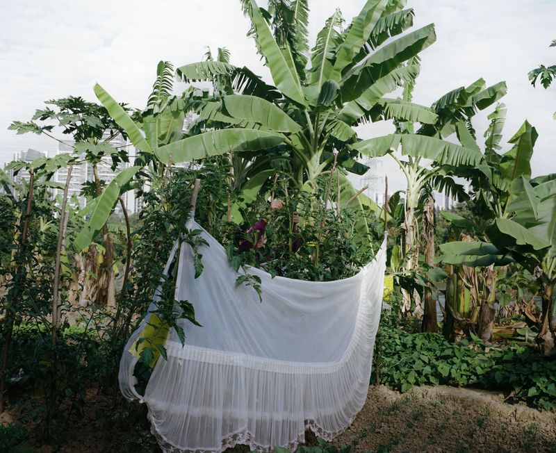 © Jingru Wang - Image from the Southern Sands photography project