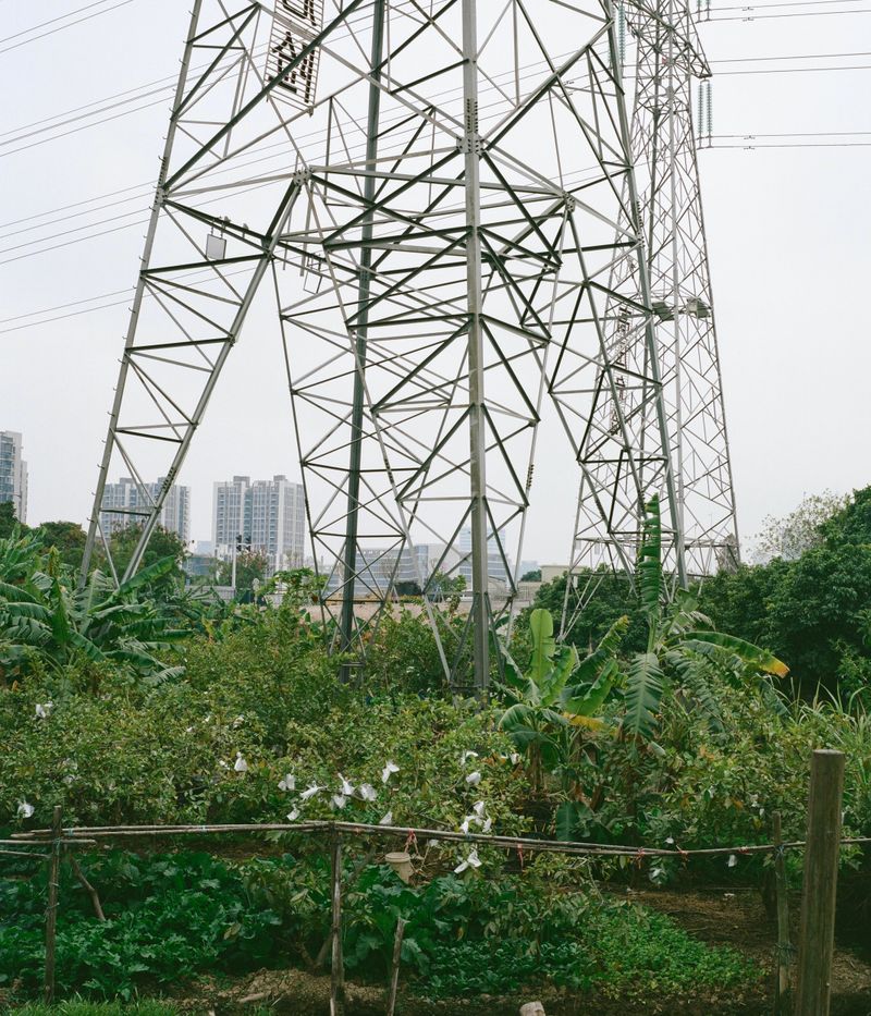 © Jingru Wang - Image from the Southern Sands photography project