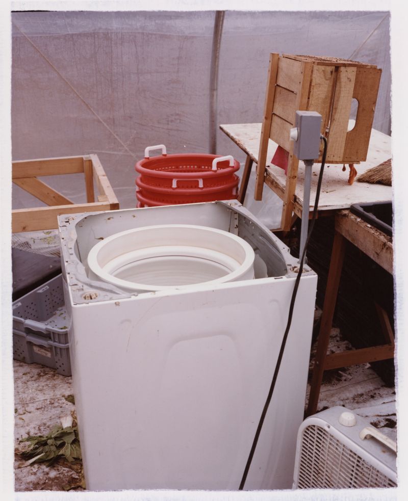 © Jingru Wang - Image from the Go see* photography project