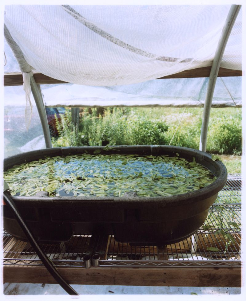 © Jingru Wang - Image from the Go see* photography project