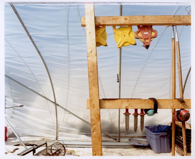 © Jingru Wang - Image from the Go see* photography project